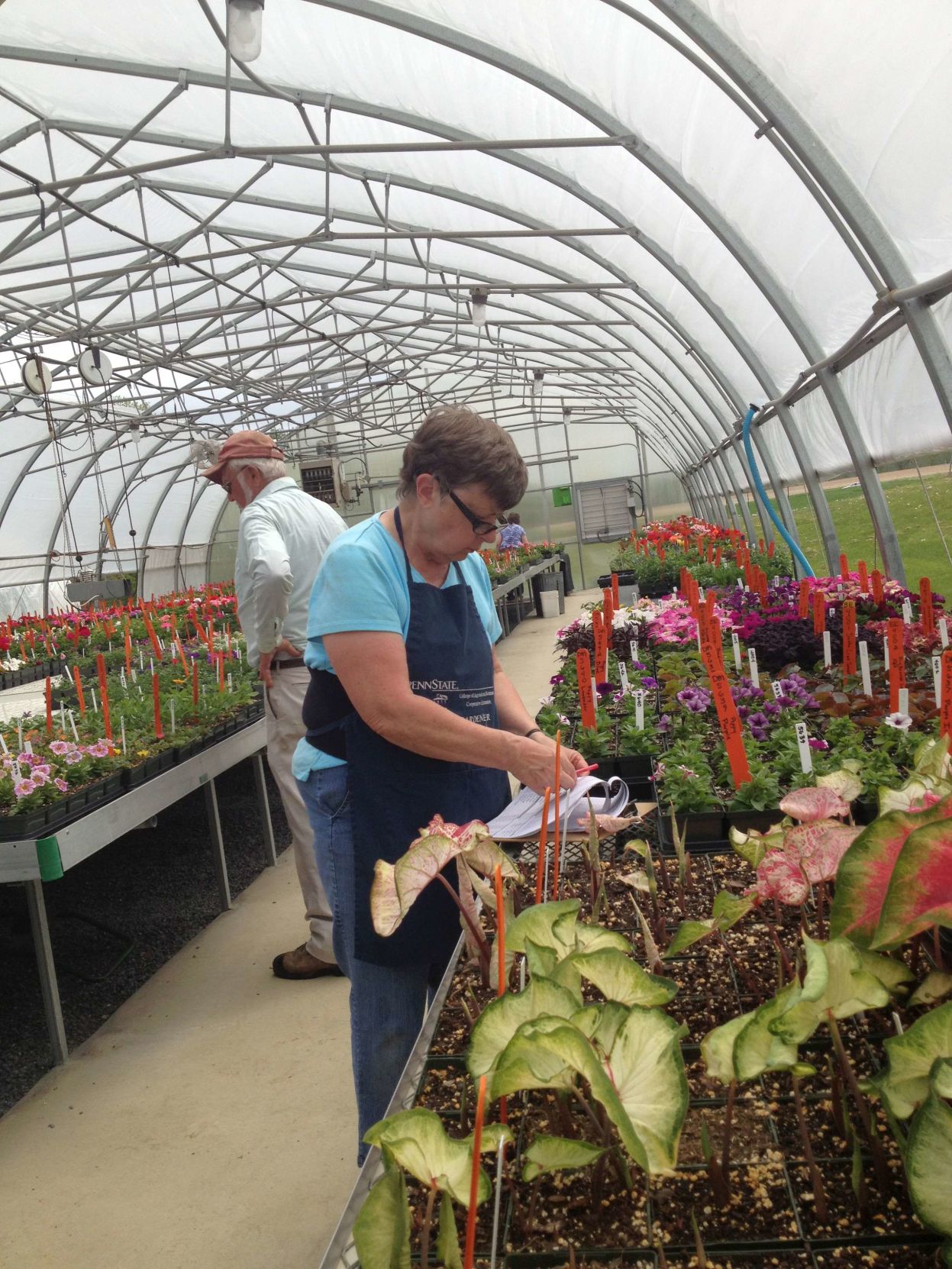 Penn State research center flowers